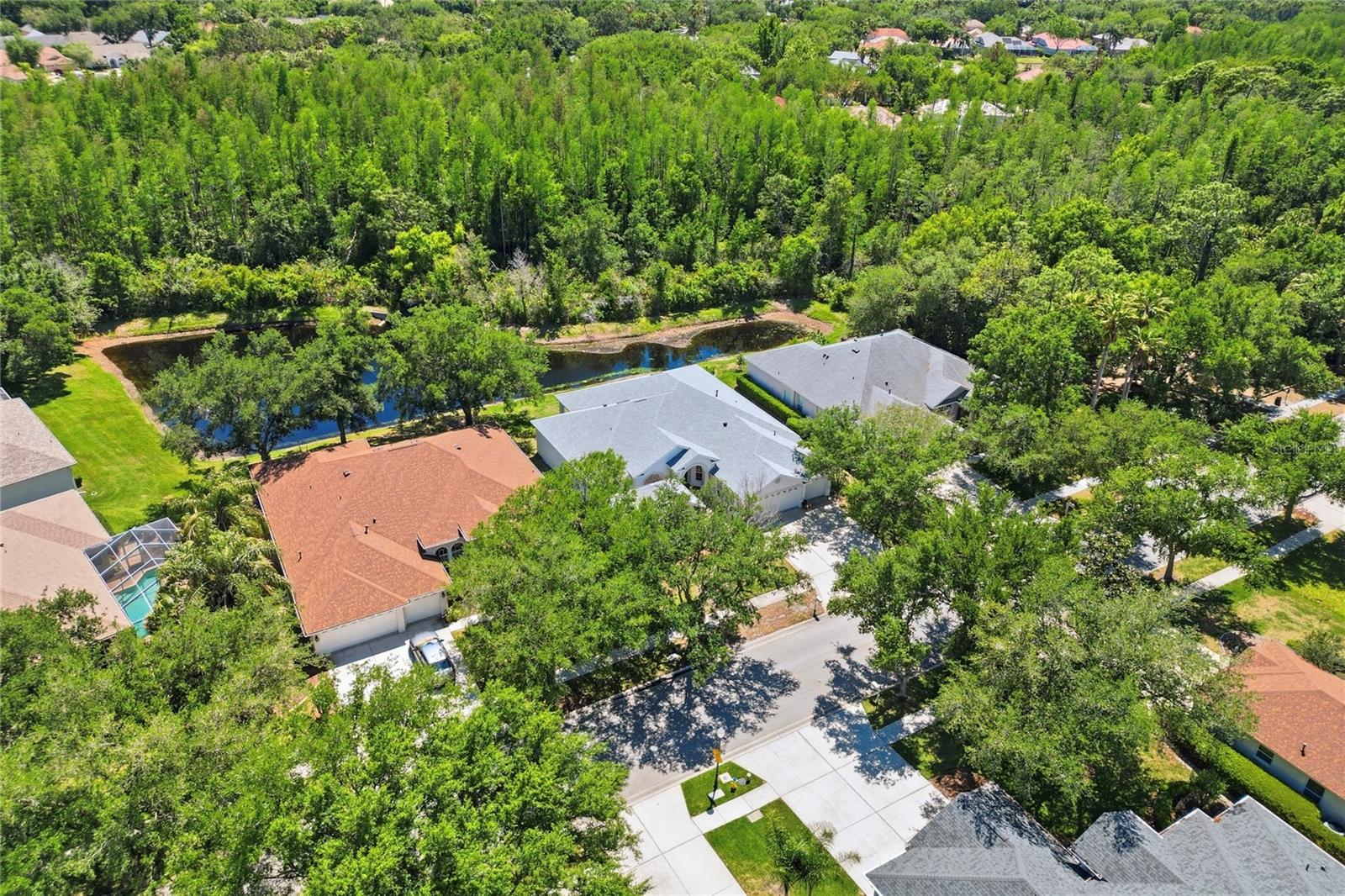 10206 Shadow Branch Dr, Tampa, FL 33647 photo