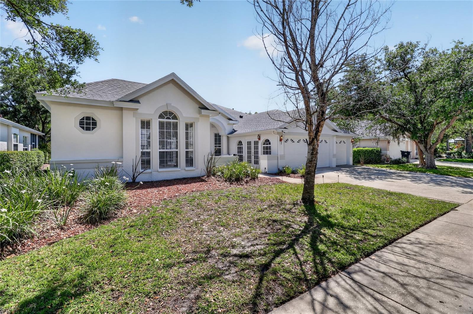 10206 Shadow Branch Dr, Tampa, FL 33647 photo