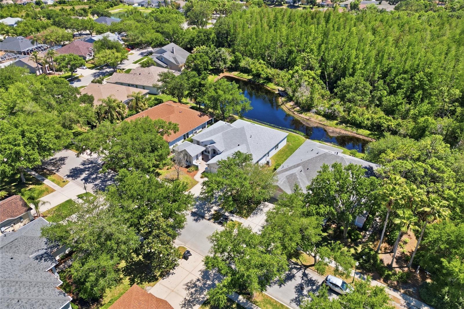 10206 Shadow Branch Dr, Tampa, FL 33647 photo