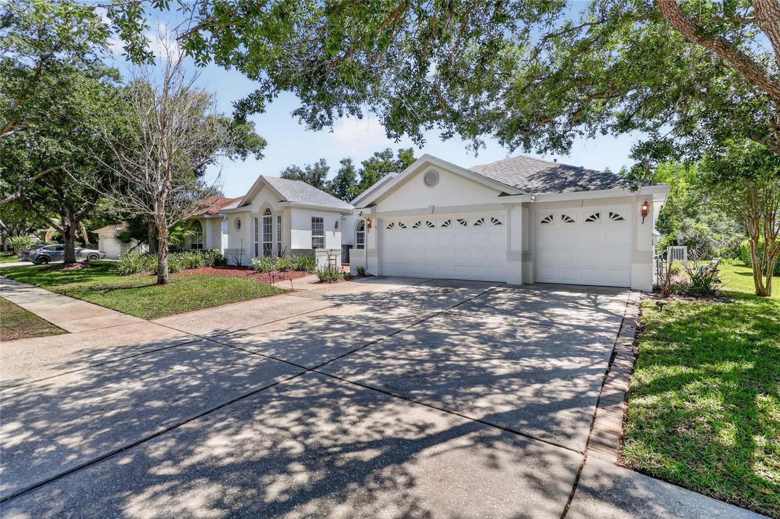 10206 Shadow Branch Dr, Tampa, FL 33647 photo