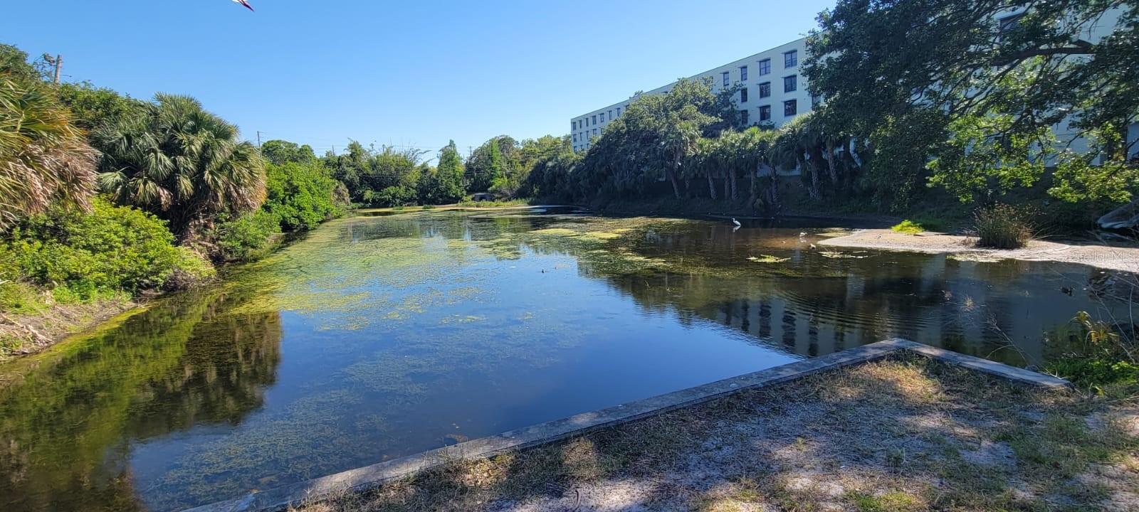701 S Madison Ave #316, Clearwater, FL 33756 photo
