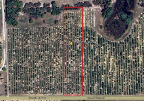  in LAKE WALES FL MAMMOTH GROVE ROAD.jpg