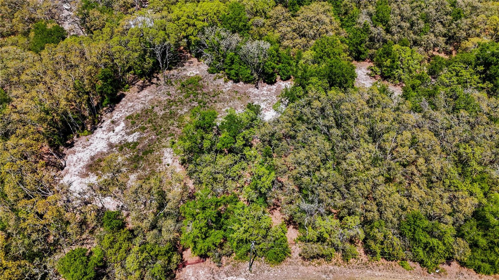 34281 Umbrella Rock Dr, Webster, FL 33597 photo
