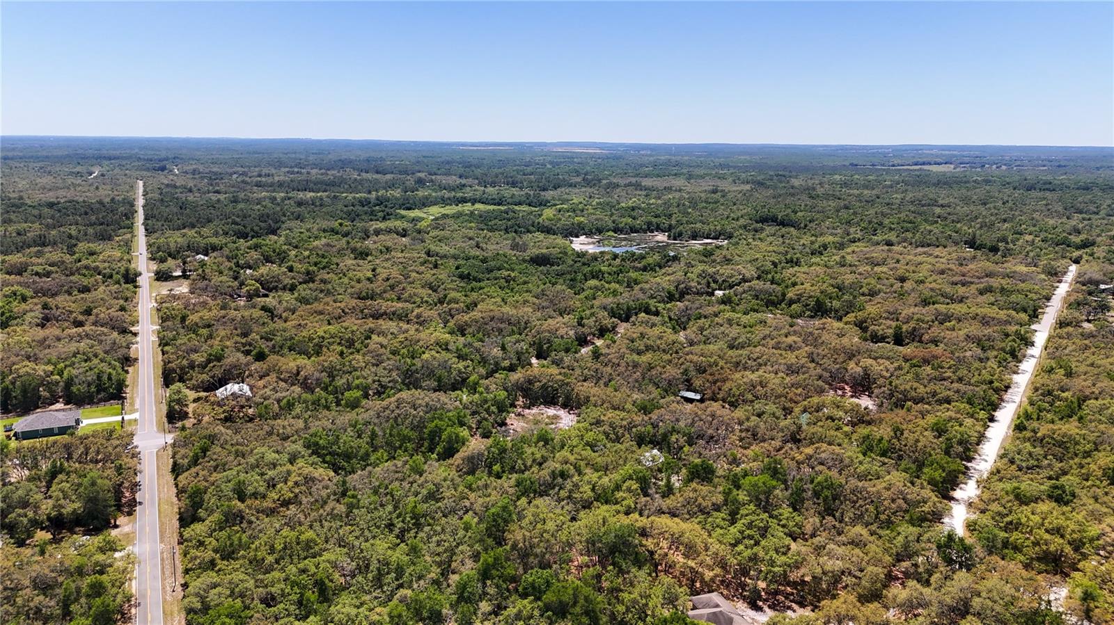 34281 Umbrella Rock Dr, Webster, FL 33597 photo