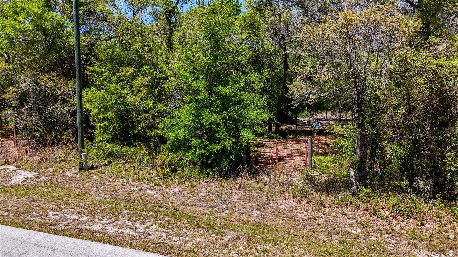 34281 Umbrella Rock Dr, Webster, FL 33597 photo