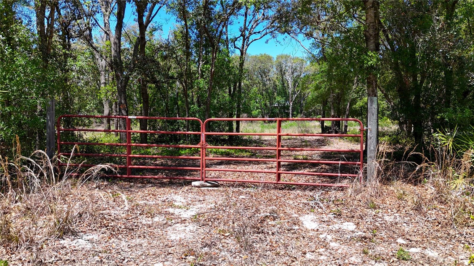 34281 Umbrella Rock Dr, Webster, FL 33597