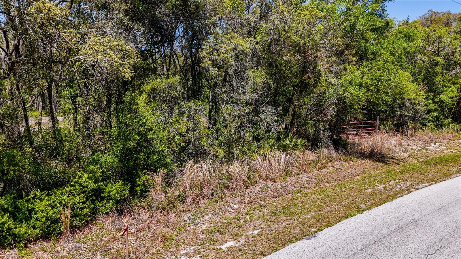 34281 Umbrella Rock Dr, Webster, FL 33597 photo