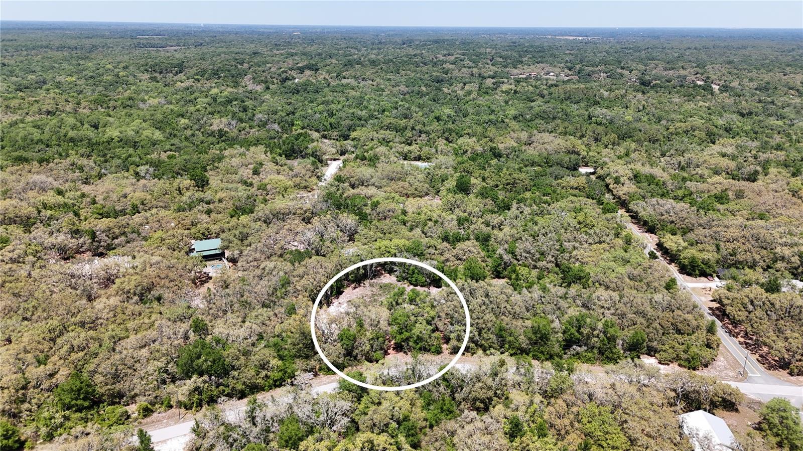 34281 Umbrella Rock Dr, Webster, FL 33597 photo