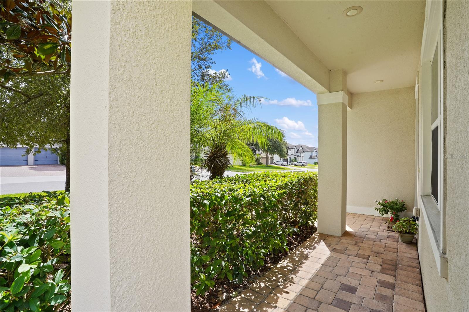 3177 Pinenut Dr, Apopka, FL 32712 photo