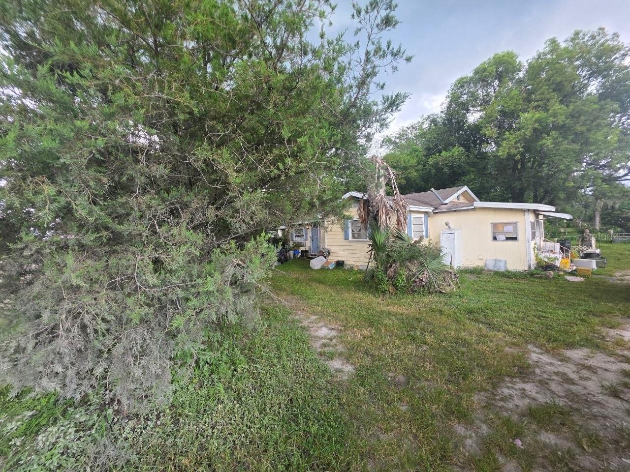 39521 Coit Rd, Dade City, FL 33523 photo