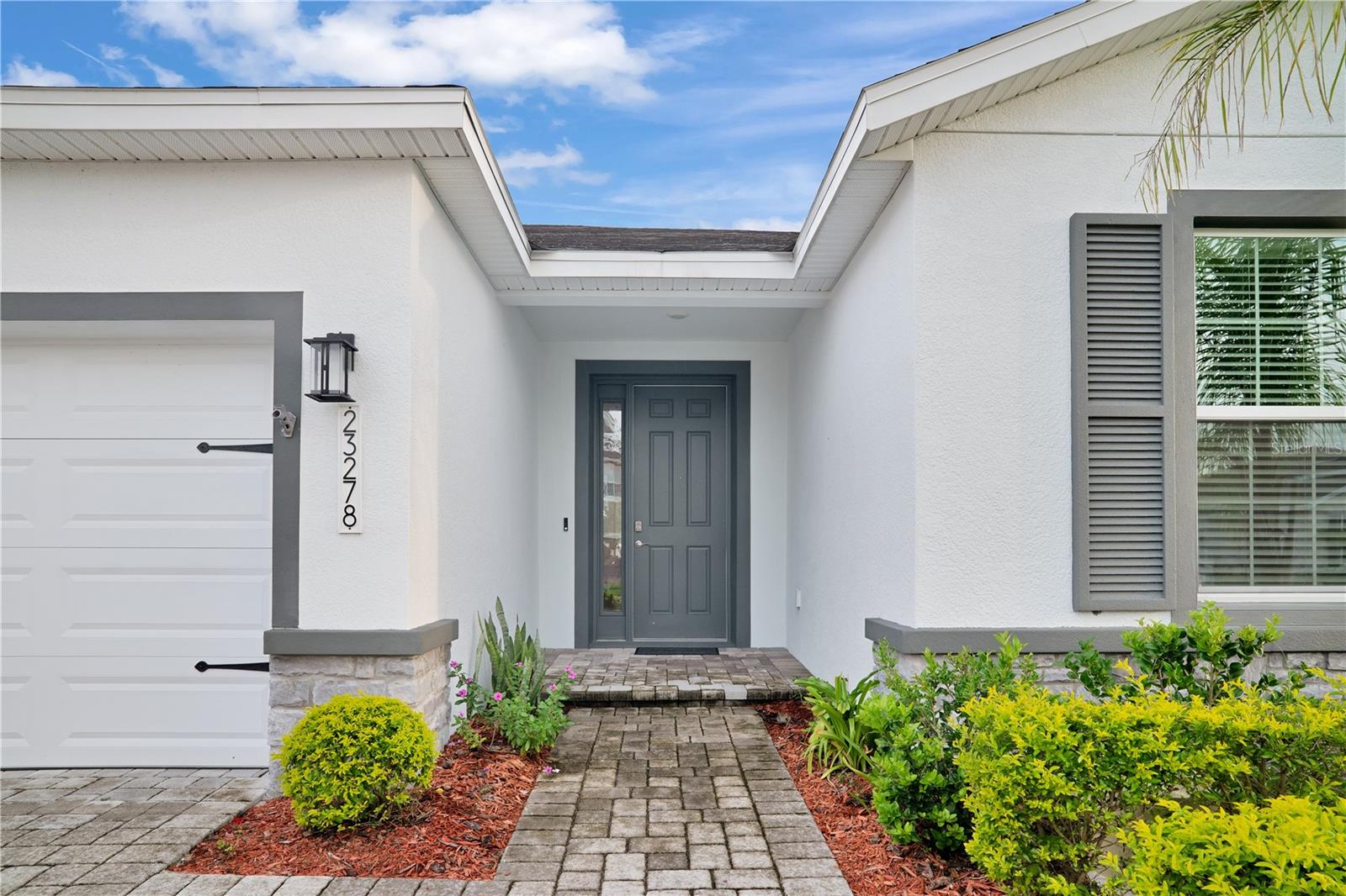 23278 Scaglione Dr, Lutz, FL 33549 photo