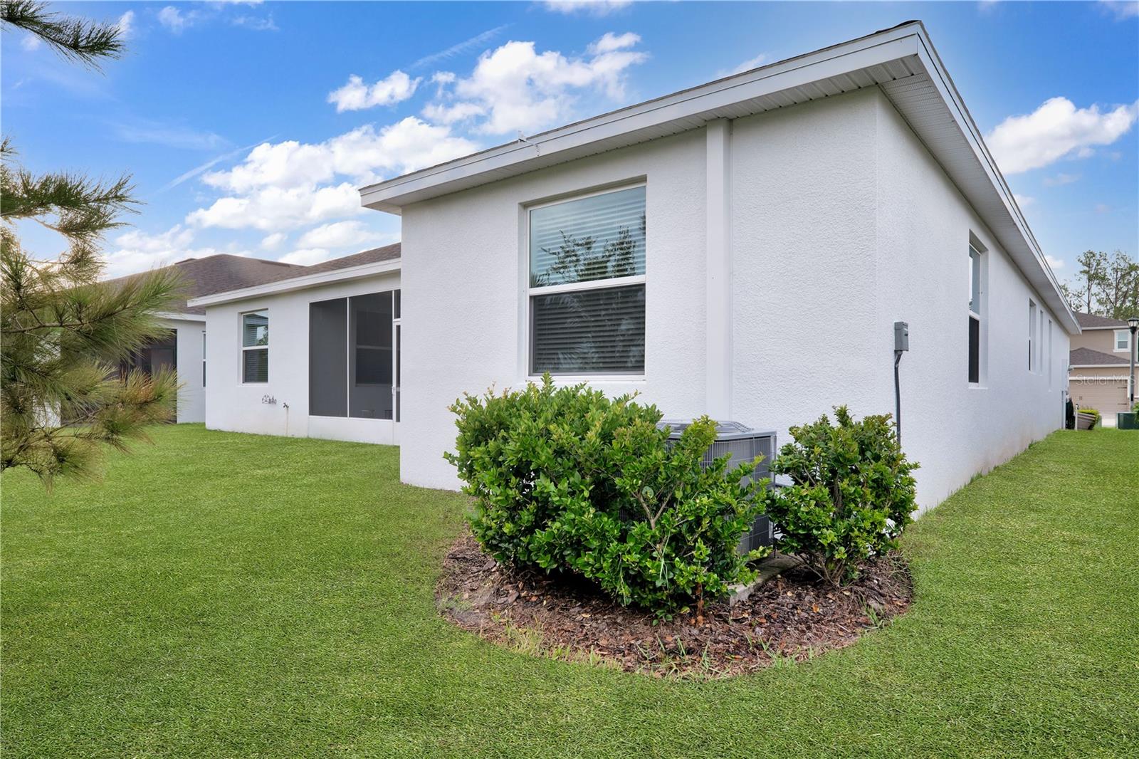 23278 Scaglione Dr, Lutz, FL 33549 photo