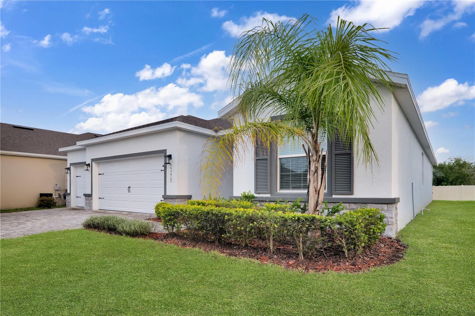 23278 Scaglione Dr, Lutz, FL 33549 photo
