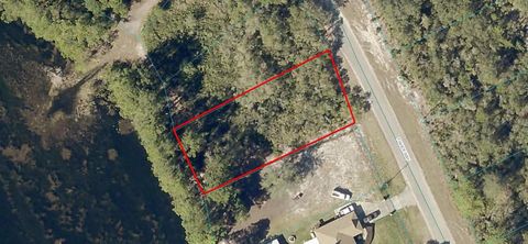  in OCKLAWAHA FL Lot 53 FISHER WAY.jpg