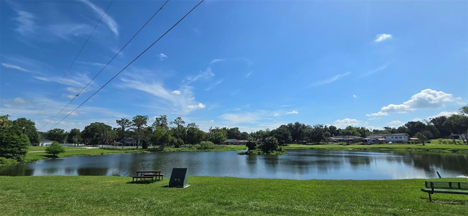 541 Sunset Ave, Umatilla, FL 32784 photo