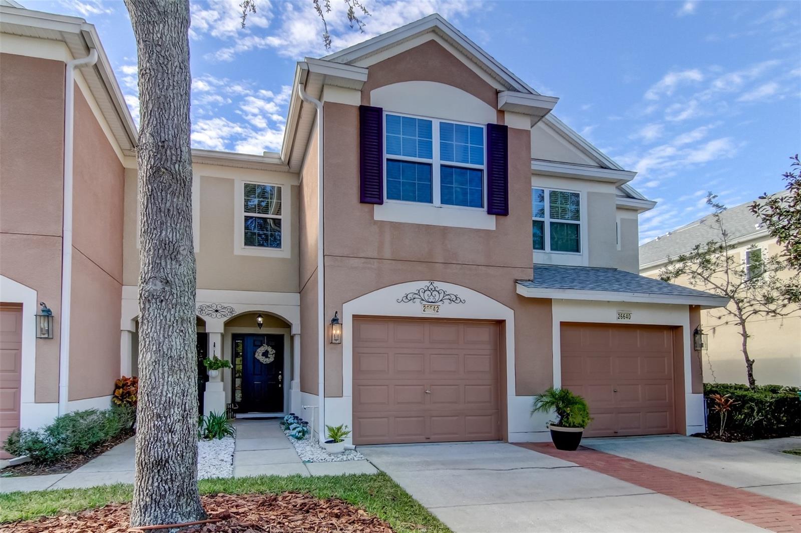 26642 Castleview Way, Wesley Chapel, FL 33544
