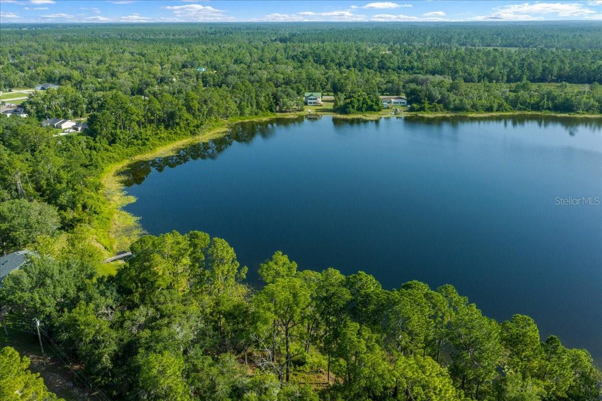 206 Malauka Radial, Ocklawaha, FL 32179 photo
