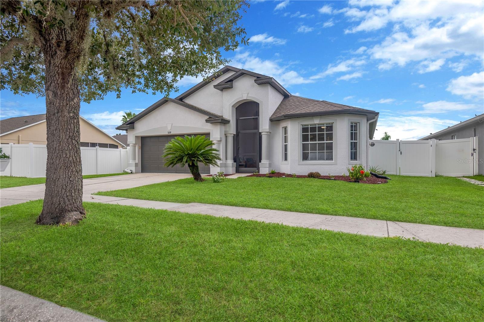 31319 Golden Gate Dr, Wesley Chapel, FL 33545 photo