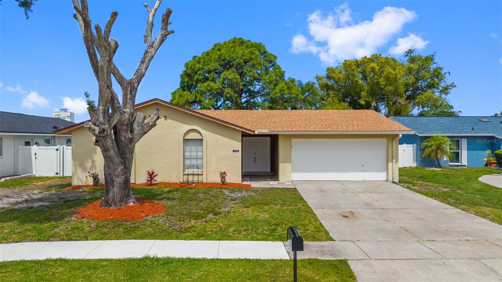 7516 Armand Cir, Tampa, FL 33634 photo