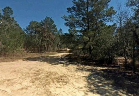  in INVERNESS FL 2907 HILLERY STREET.jpg
