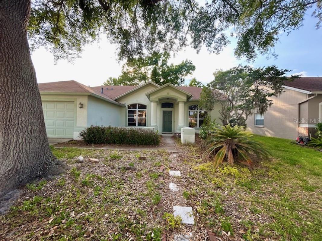 1135 Big Sky Dr, Wesley Chapel, FL 33543 photo