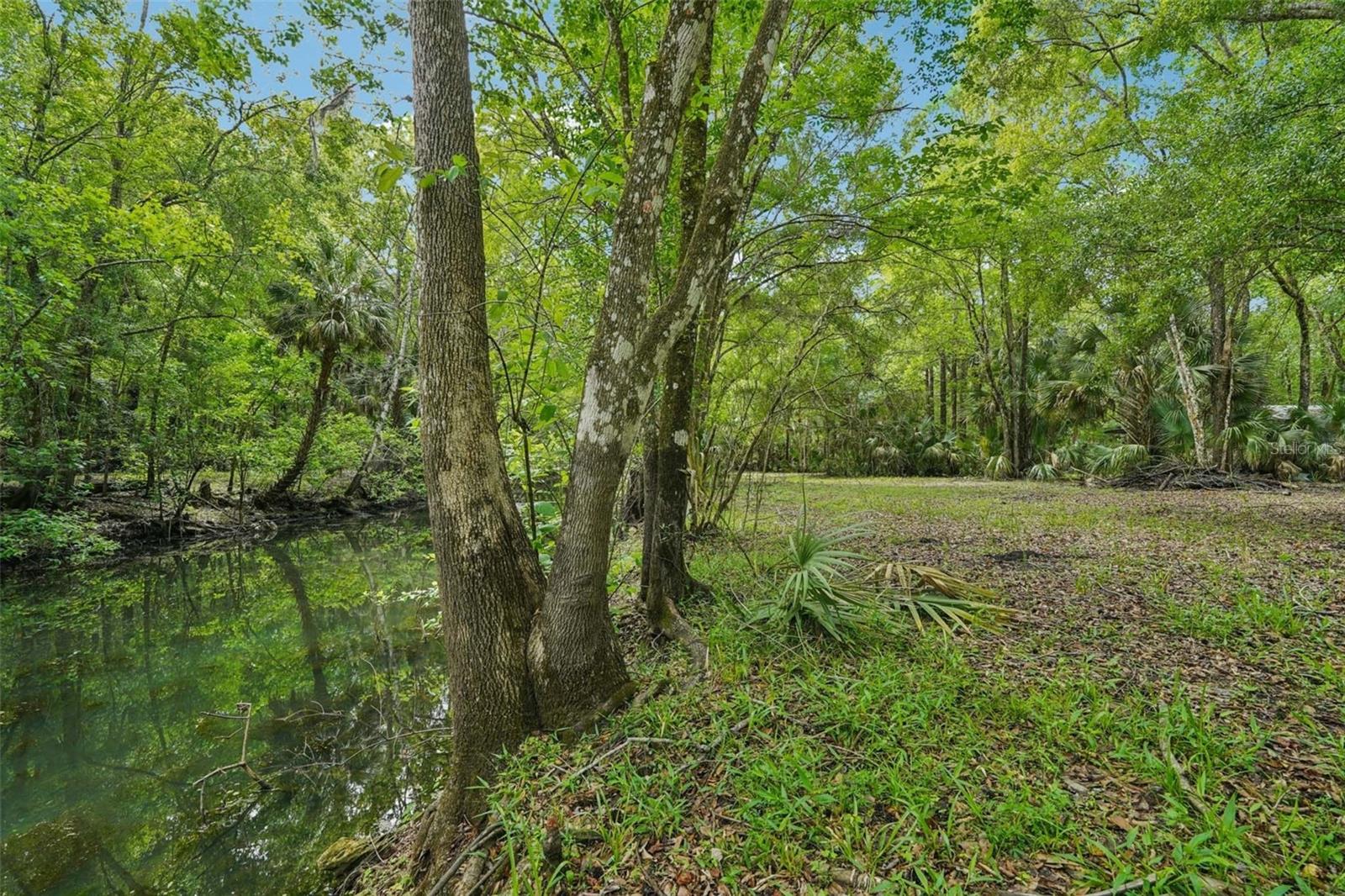 217 S Tuck Pt, Inverness, FL 34450 photo