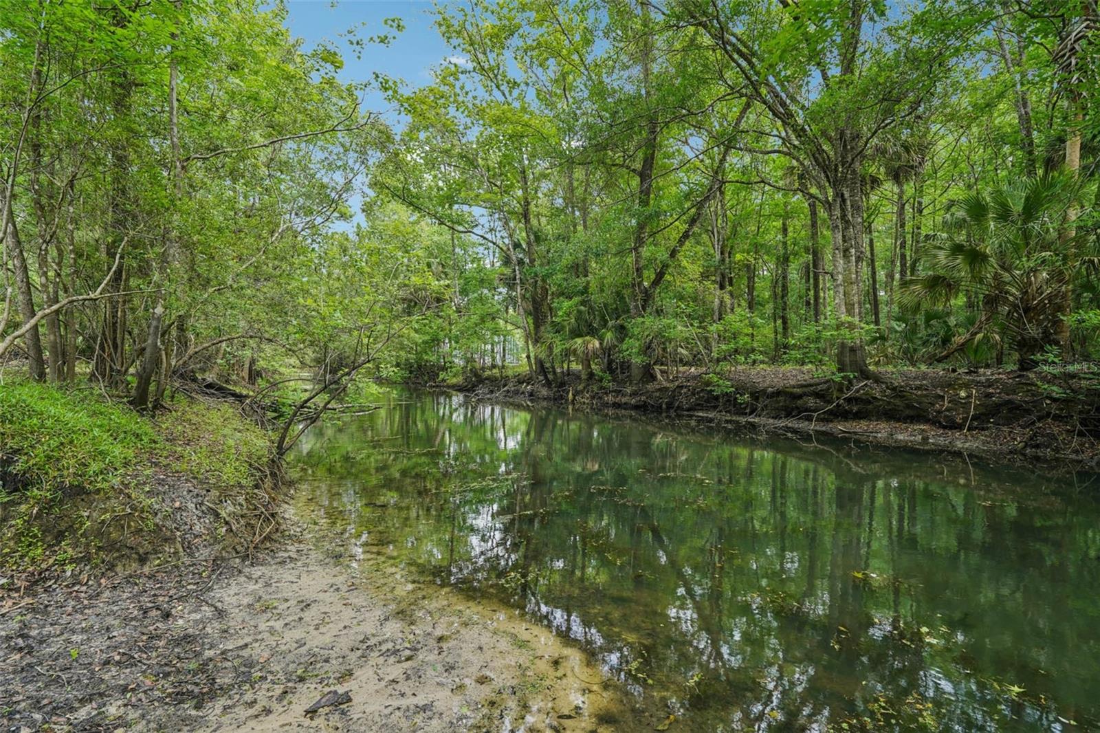 217 S Tuck Pt, Inverness, FL 34450 photo