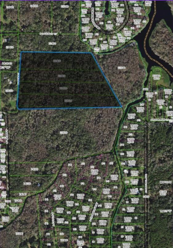 217 S Tuck Pt, Inverness, FL 34450 photo