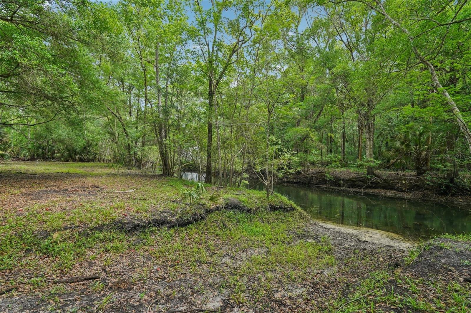217 S Tuck Pt, Inverness, FL 34450 photo