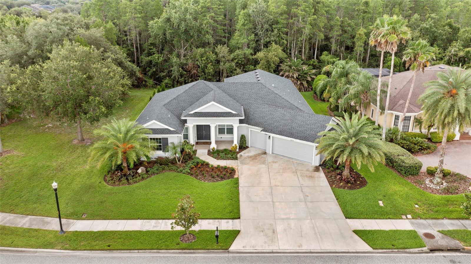 20454 Lace Cascade Rd, Land O Lakes, FL 34637 photo