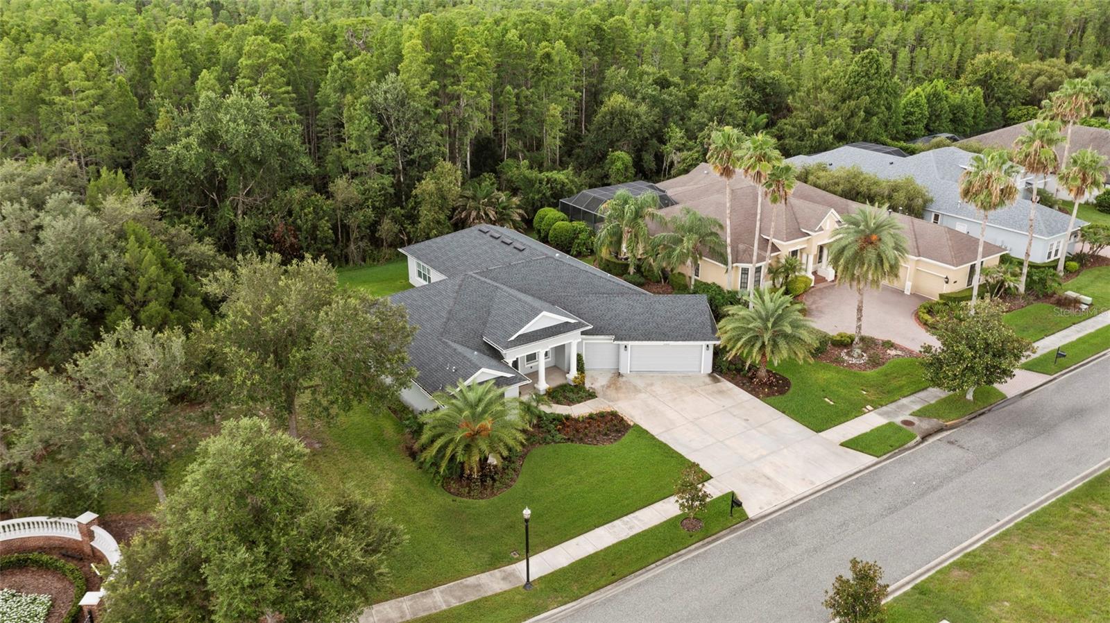 20454 Lace Cascade Rd, Land O Lakes, FL 34637 photo
