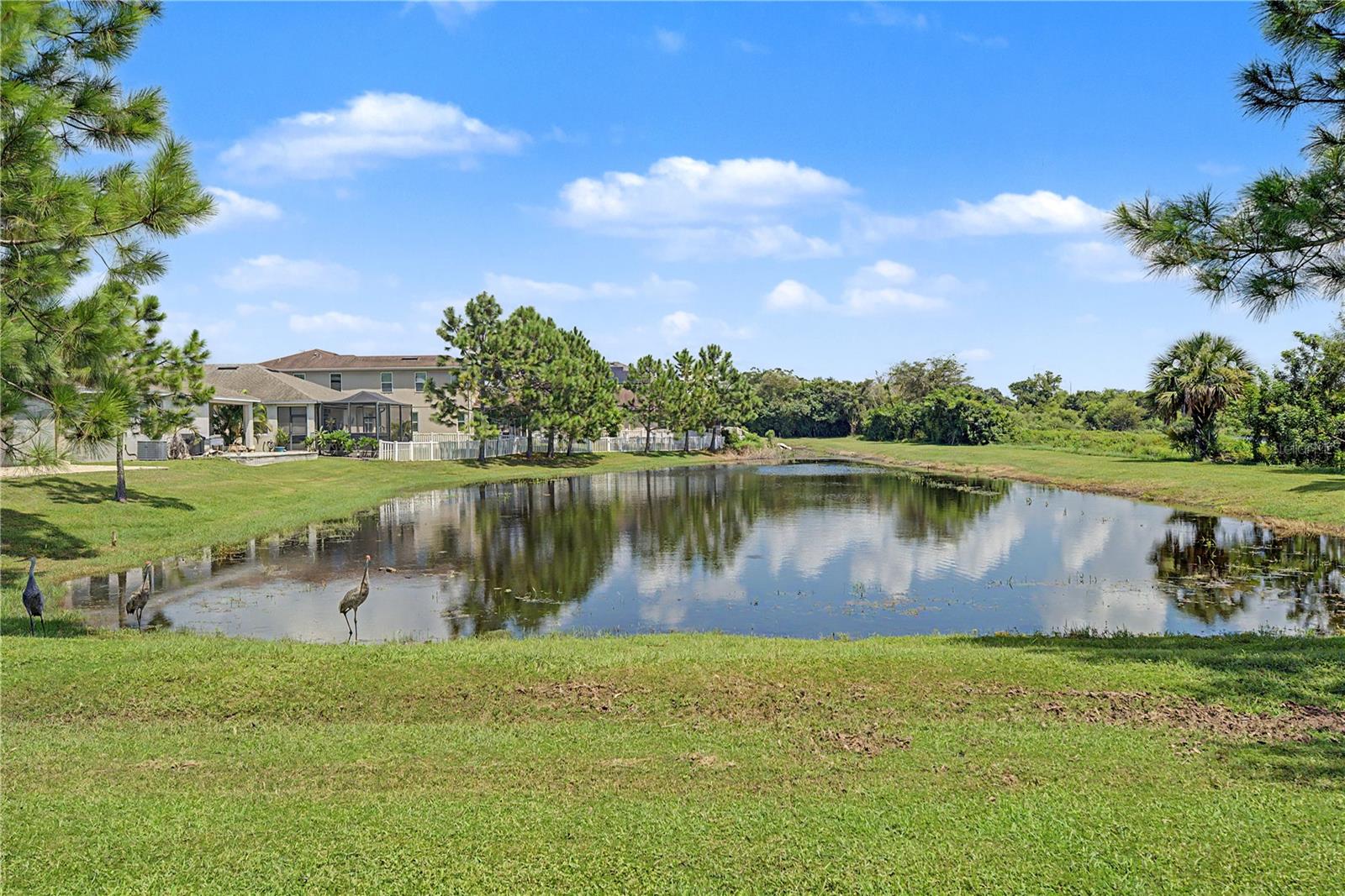 10530 Medford Lake Dr, Riverview, FL 33578 photo