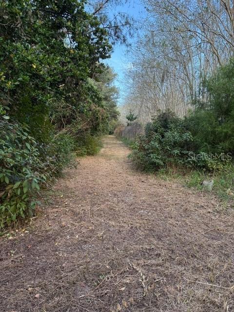 14914 SE 56 Ave, Summerfield, FL 34491 photo