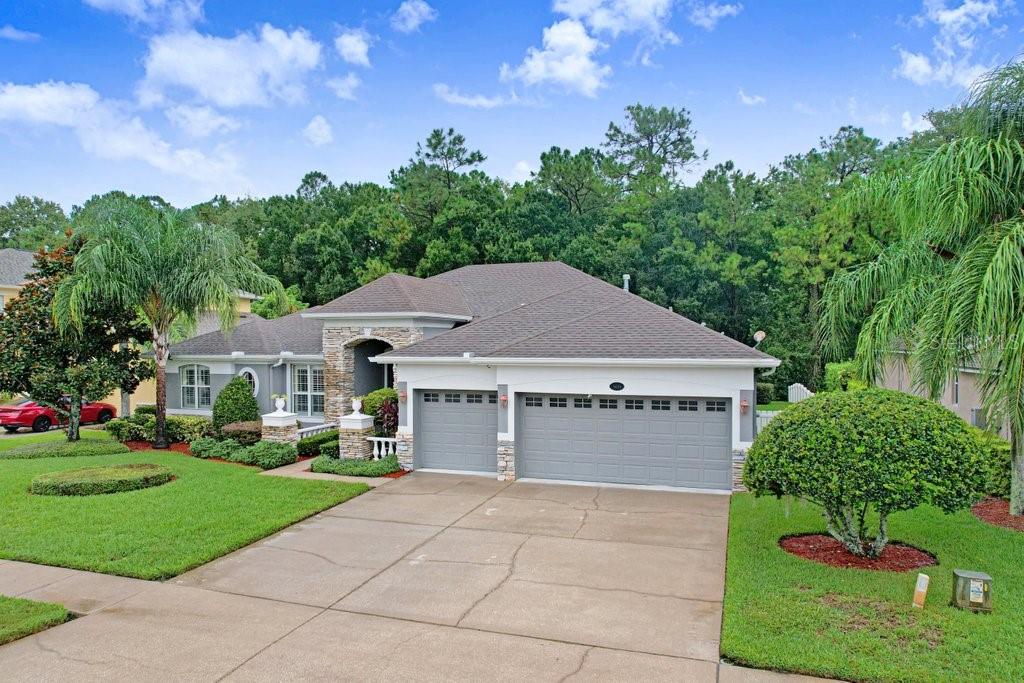 16116 Ivy Lake Dr, Odessa, FL 33556 photo