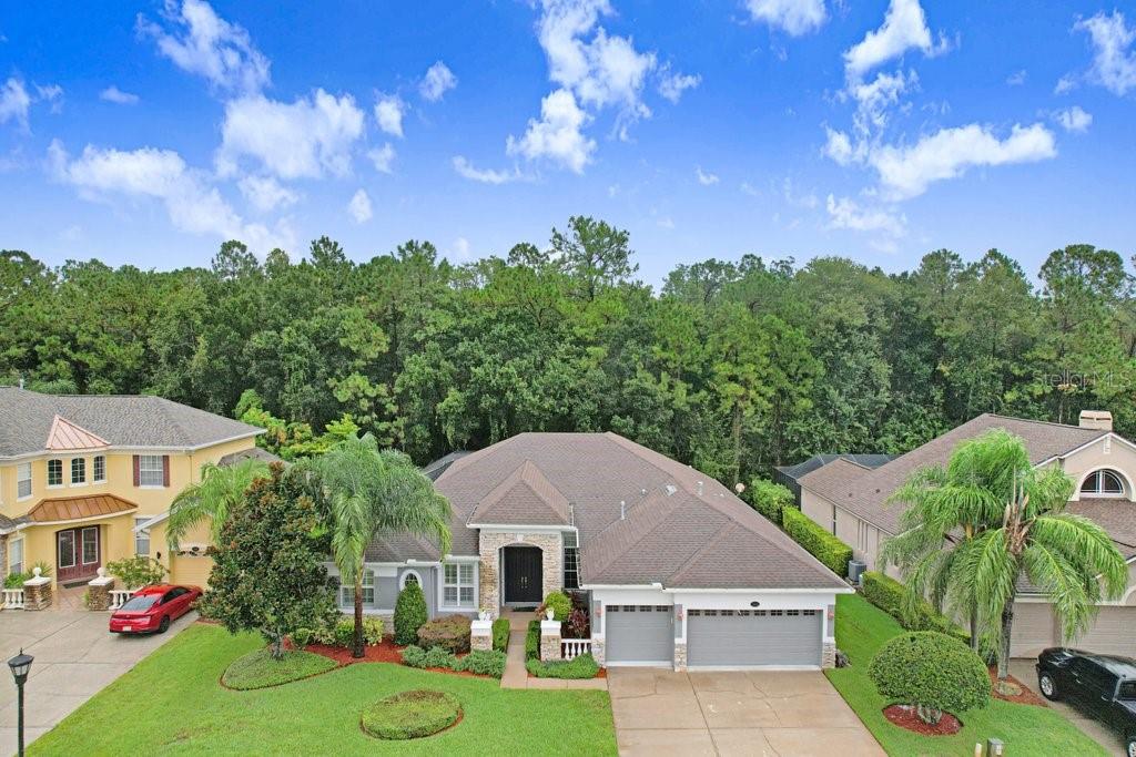 16116 Ivy Lake Dr, Odessa, FL 33556 photo