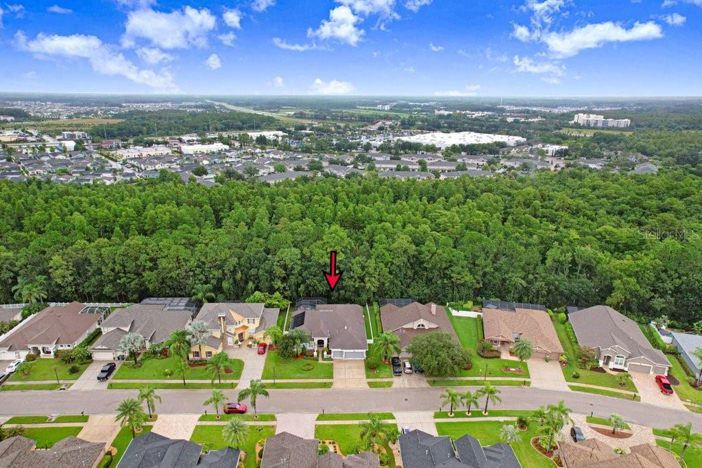 16116 Ivy Lake Dr, Odessa, FL 33556 photo