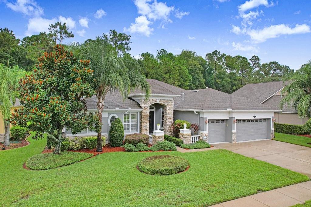 16116 Ivy Lake Dr, Odessa, FL 33556 photo