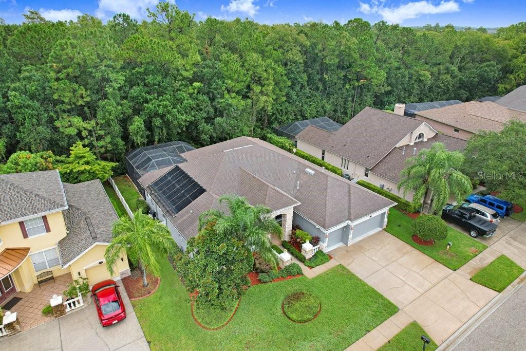 16116 Ivy Lake Dr, Odessa, FL 33556 photo