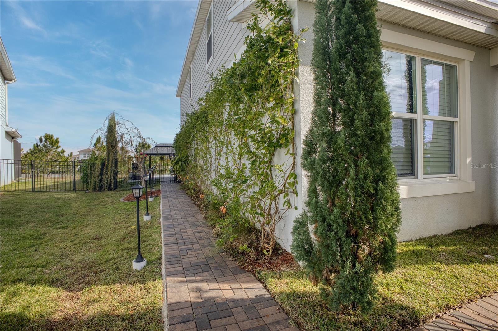 3262 Hanging Tide St, Winter Garden, FL 34787 photo