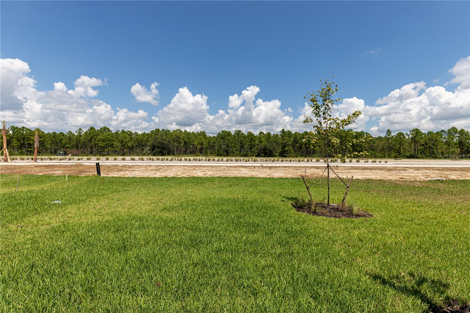45126 Pipevine Cir, Punta Gorda, FL 33982 photo