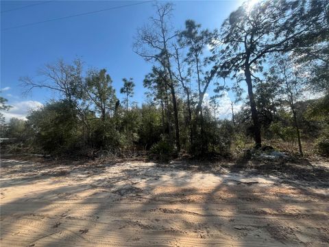  in KEYSTONE HEIGHTS FL 6291 DRAKE AVENUE.jpg