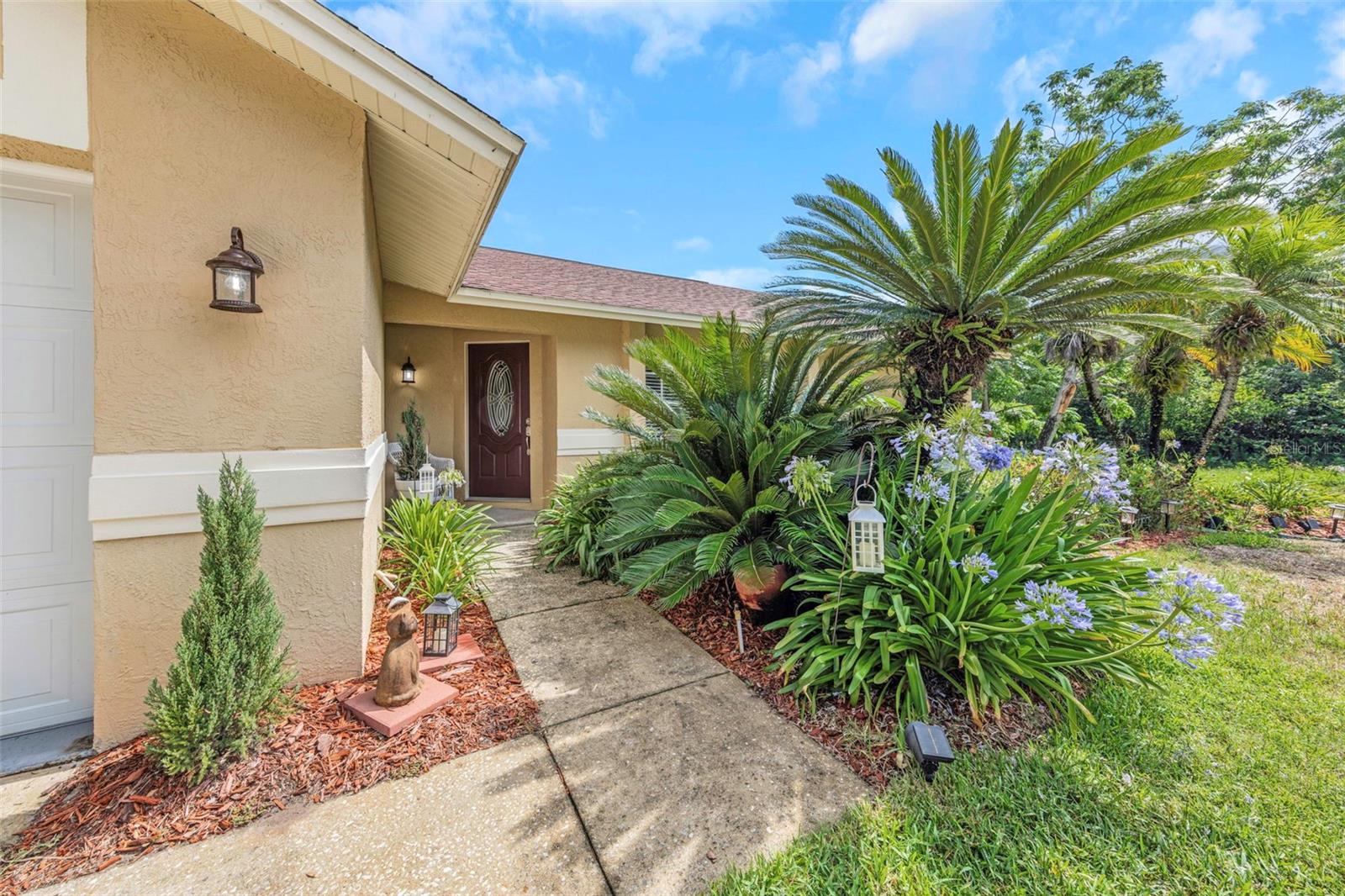 2437 Hawk Ave, Palm Harbor, FL 34683 photo