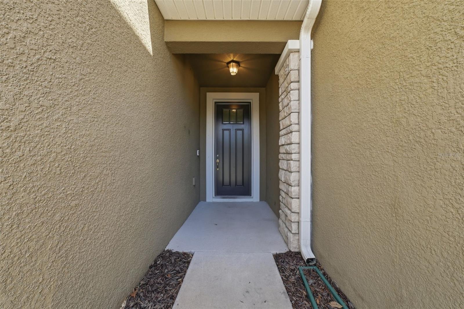 11752 Cambium Crown Dr, Riverview, FL 33569 photo