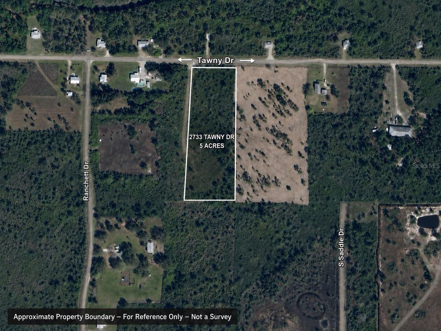 2733 Tawny Dr, Lorida, FL 33857 photo