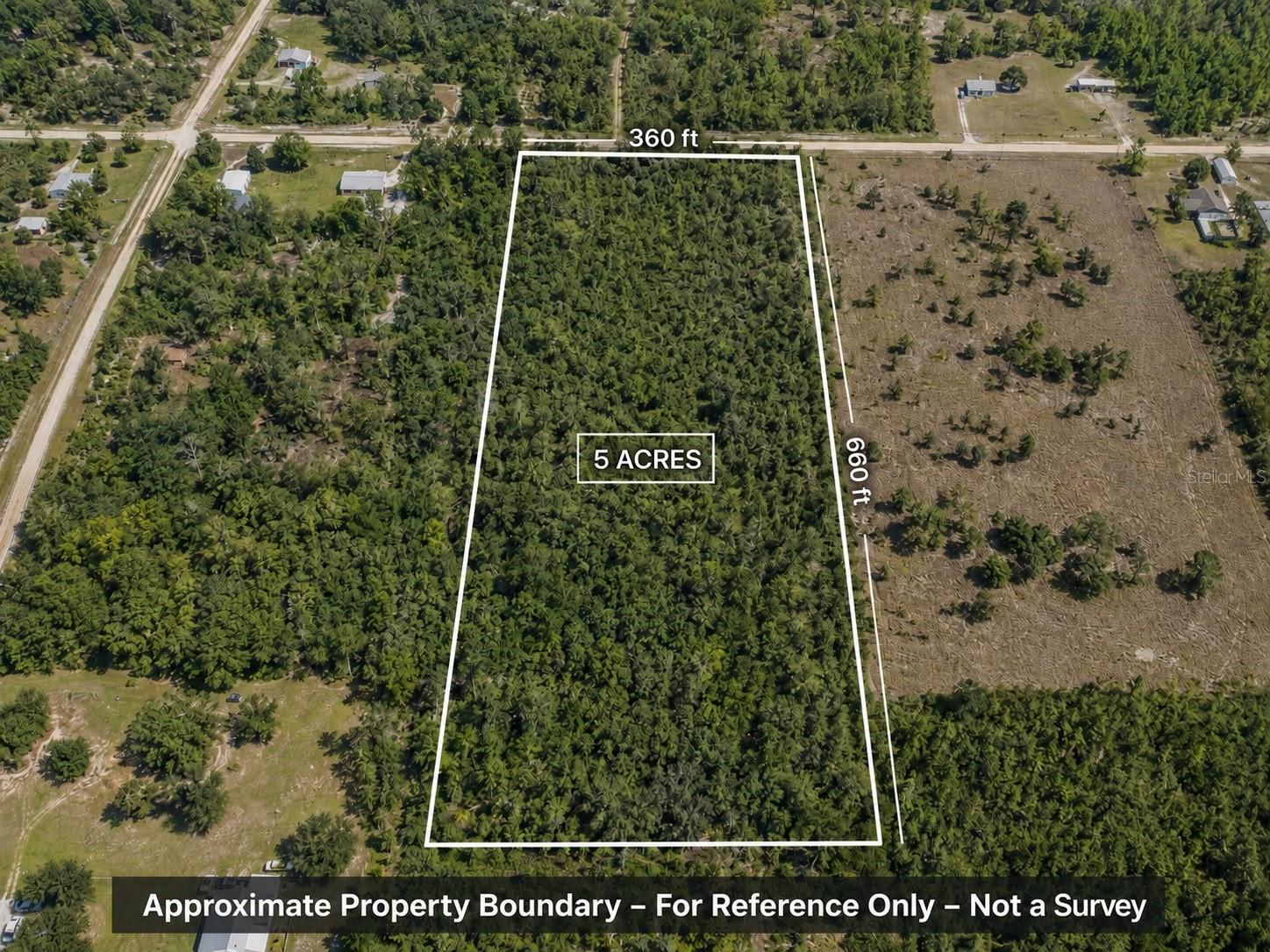 2733 Tawny Dr, Lorida, FL 33857 photo