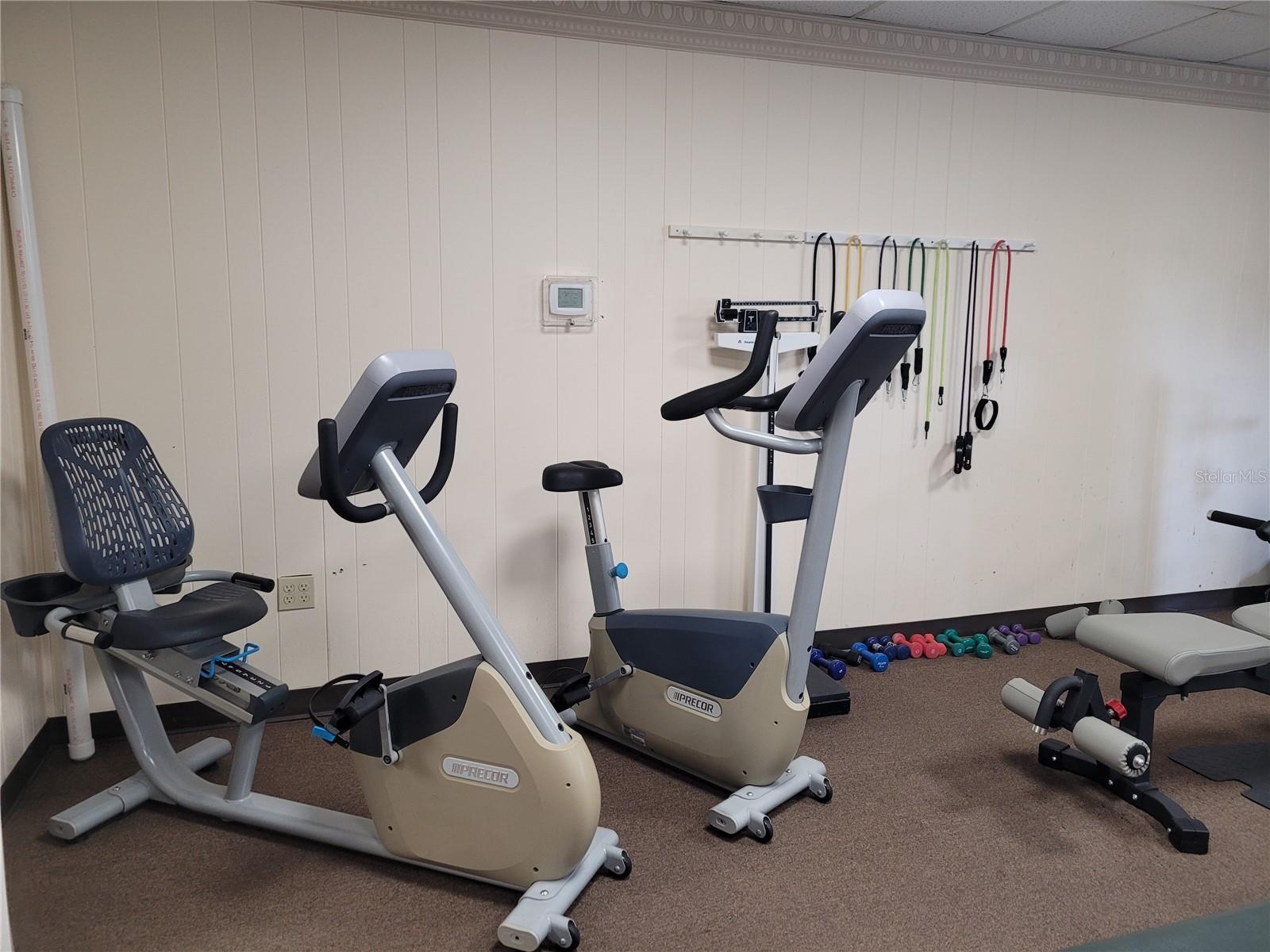 Mobile Home in SARASOTA FL 3335 SPANISH OAK TERRACE 60.jpg