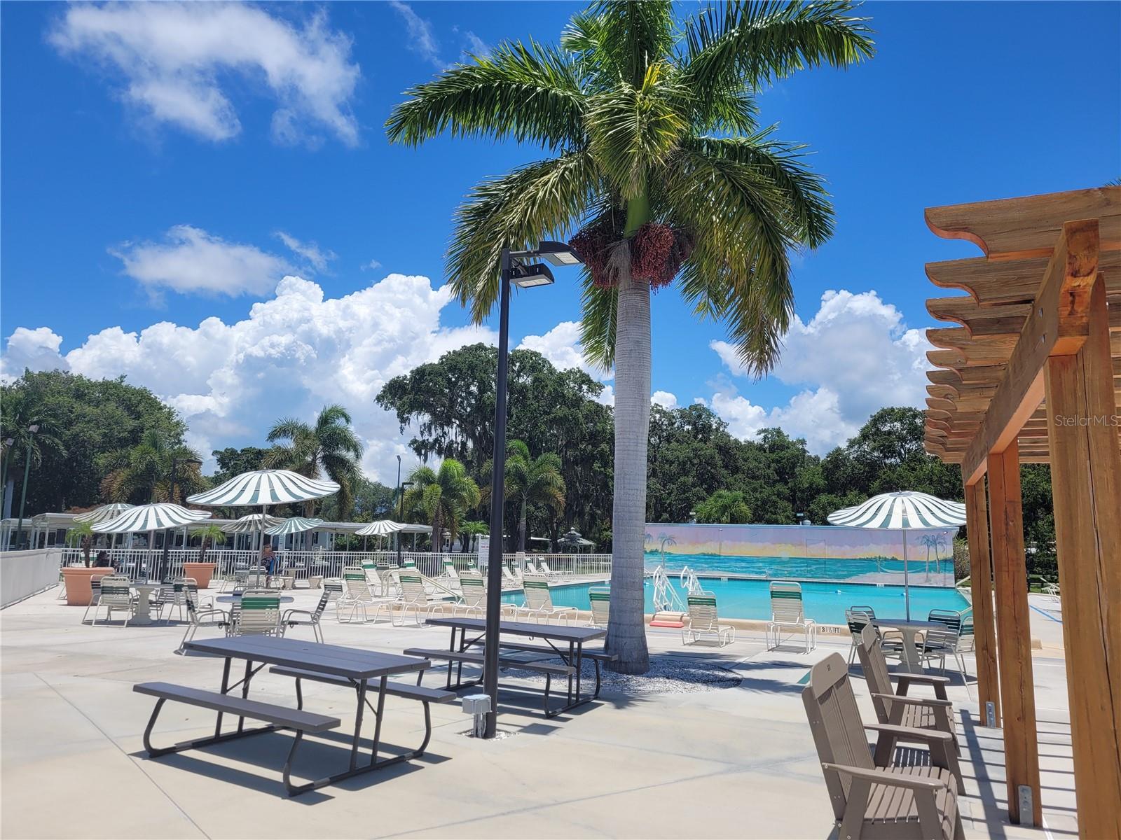 Mobile Home in SARASOTA FL 3335 SPANISH OAK TERRACE 53.jpg