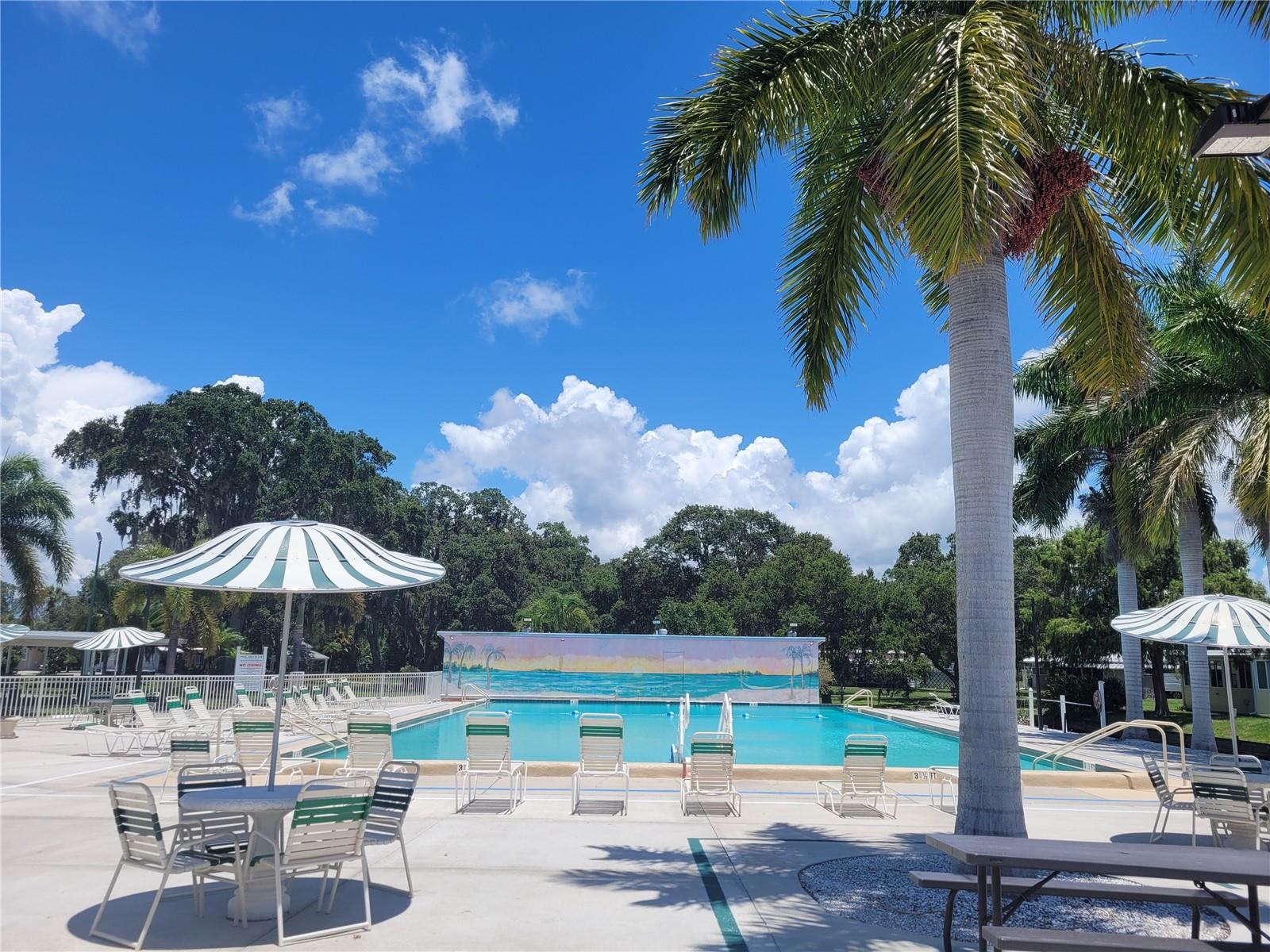 Mobile Home in SARASOTA FL 3335 SPANISH OAK TERRACE 51.jpg