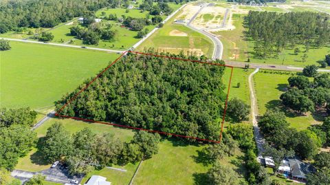  in DADE CITY FL 36126 SAINT JOE ROAD 13.jpg