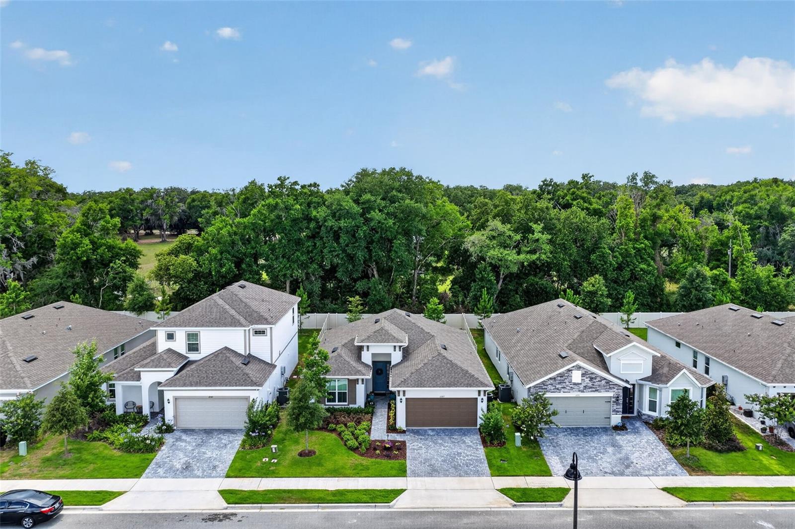 2289 Sirena Ln, Mount Dora, FL 32757 photo